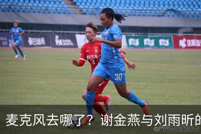 麦克风去哪了？谢金燕与刘雨昕的舞台小插曲